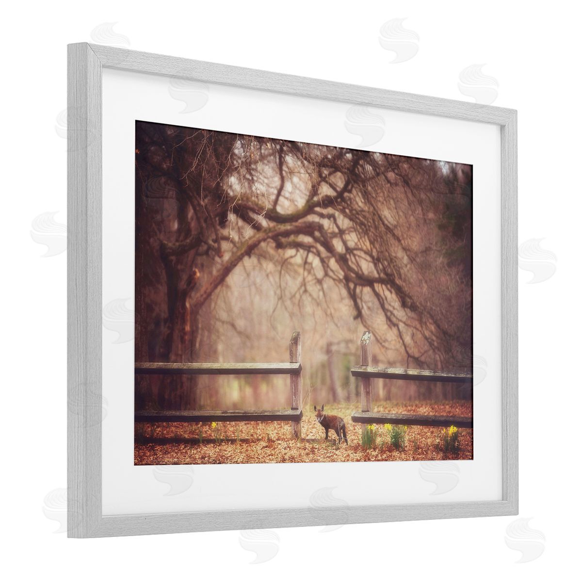 Carrie Ann Grippo-Pike Sly Guy Fox in Forest Canvas Wall Art Print