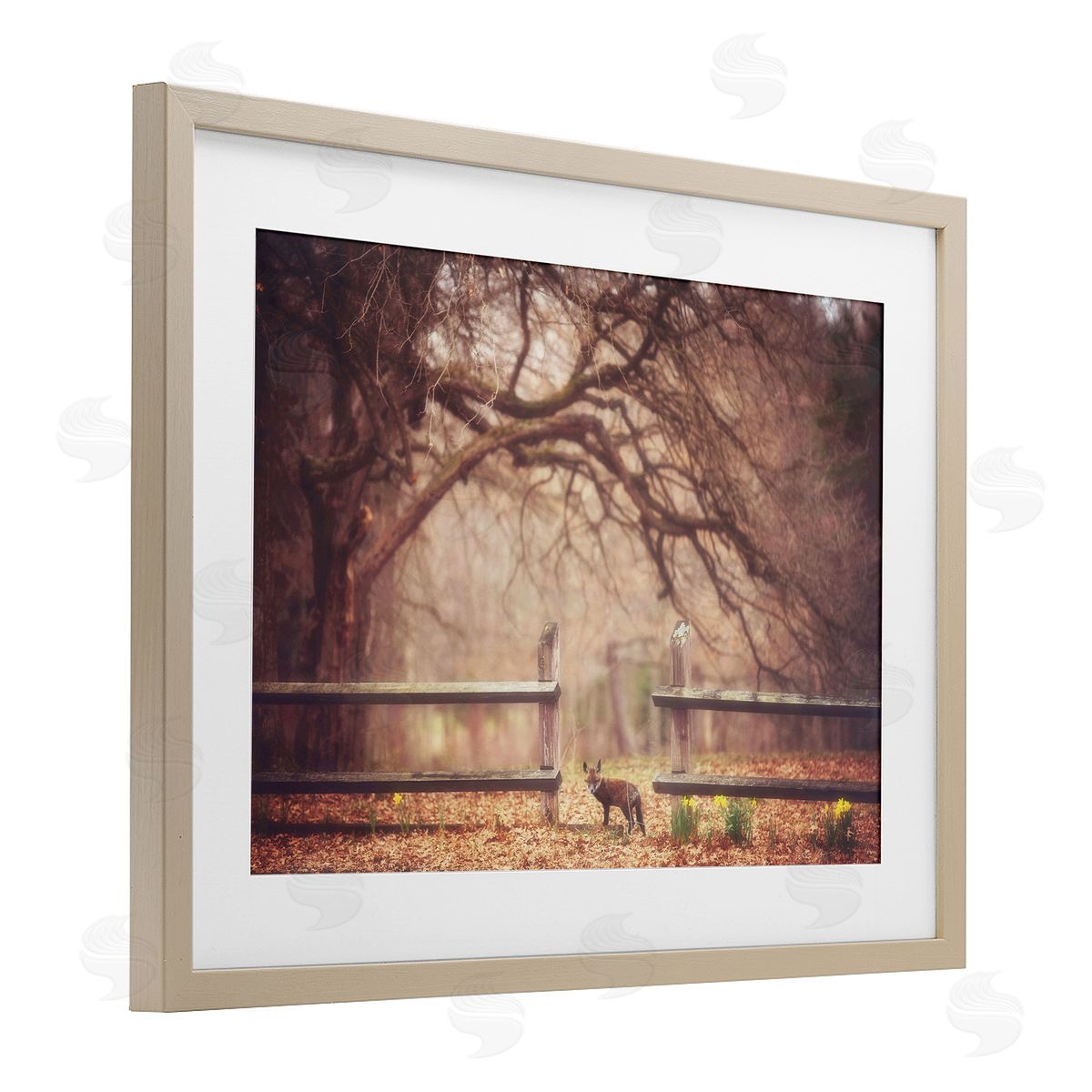 Carrie Ann Grippo-Pike Sly Guy Fox in Forest Canvas Wall Art Print