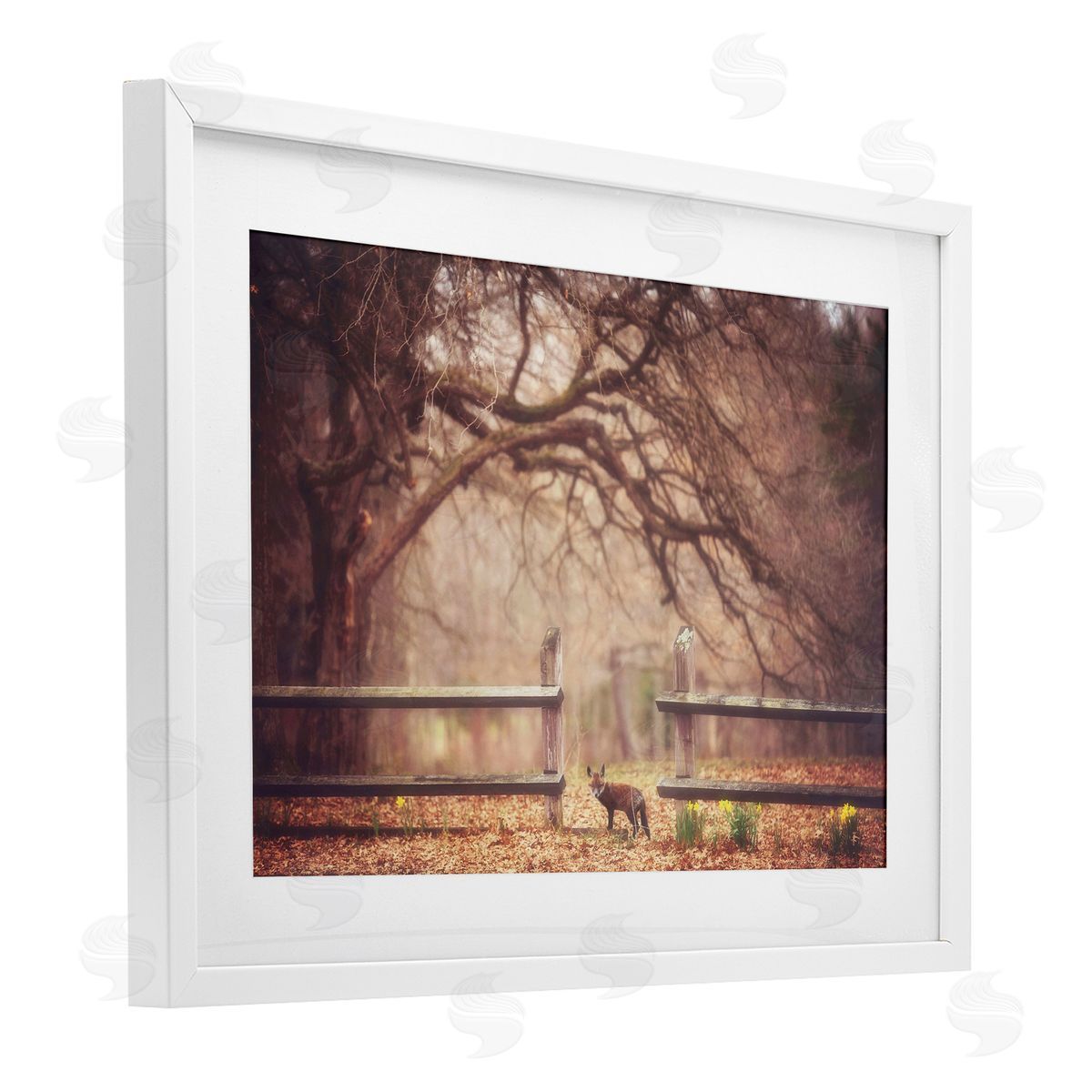 Carrie Ann Grippo-Pike Sly Guy Fox in Forest Canvas Wall Art Print