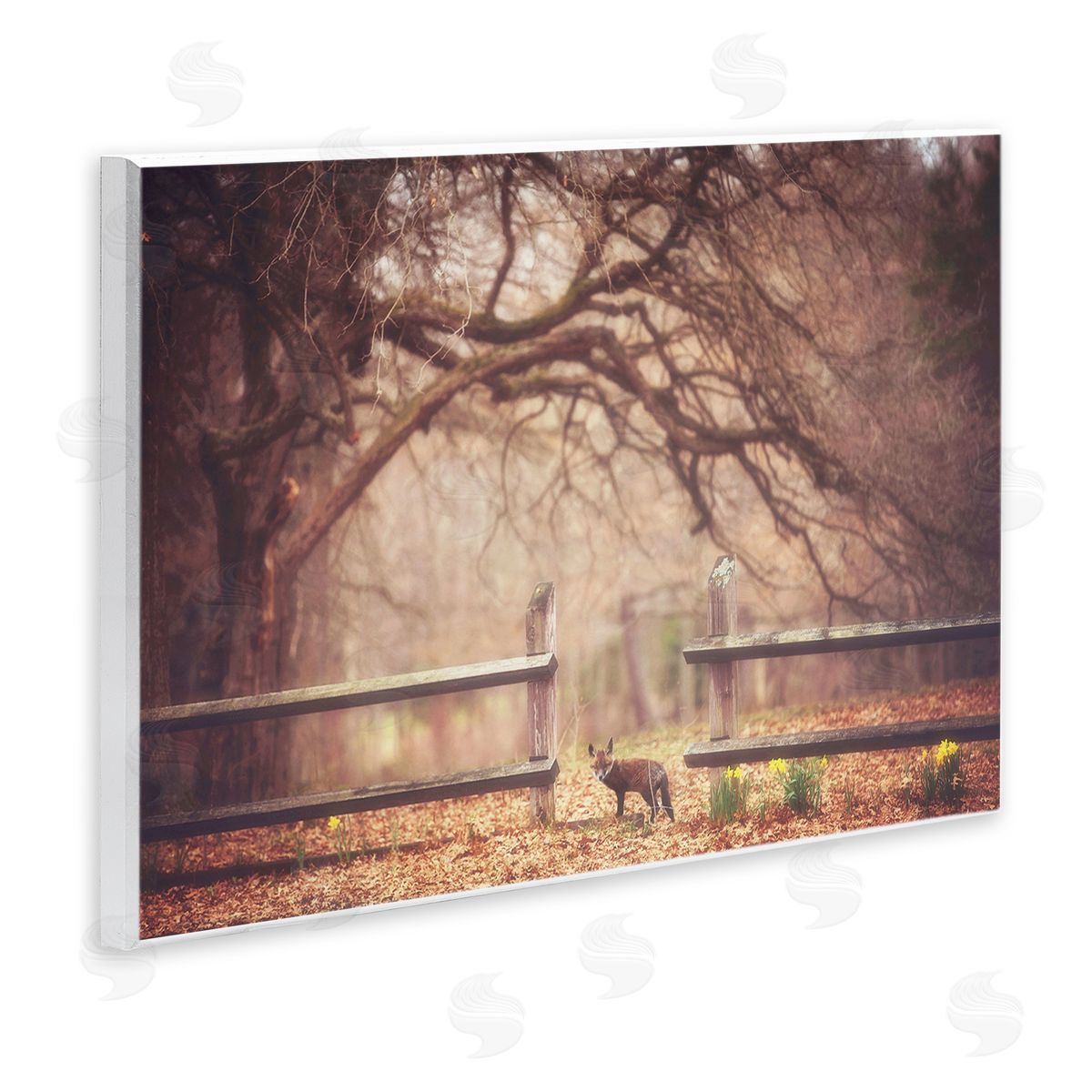 Carrie Ann Grippo-Pike Sly Guy Fox in Forest Canvas Wall Art Print
