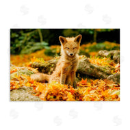 Carrie Ann Grippo-Pike | Sleepy Fall Fox in Autumn