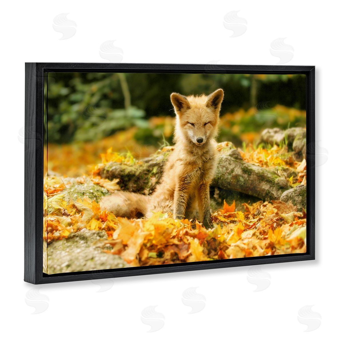 Carrie Ann Grippo-Pike Sleepy Fall Fox in Autumn Canvas Wall Art Print