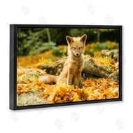 Carrie Ann Grippo-Pike | Sleepy Fall Fox in Autumn