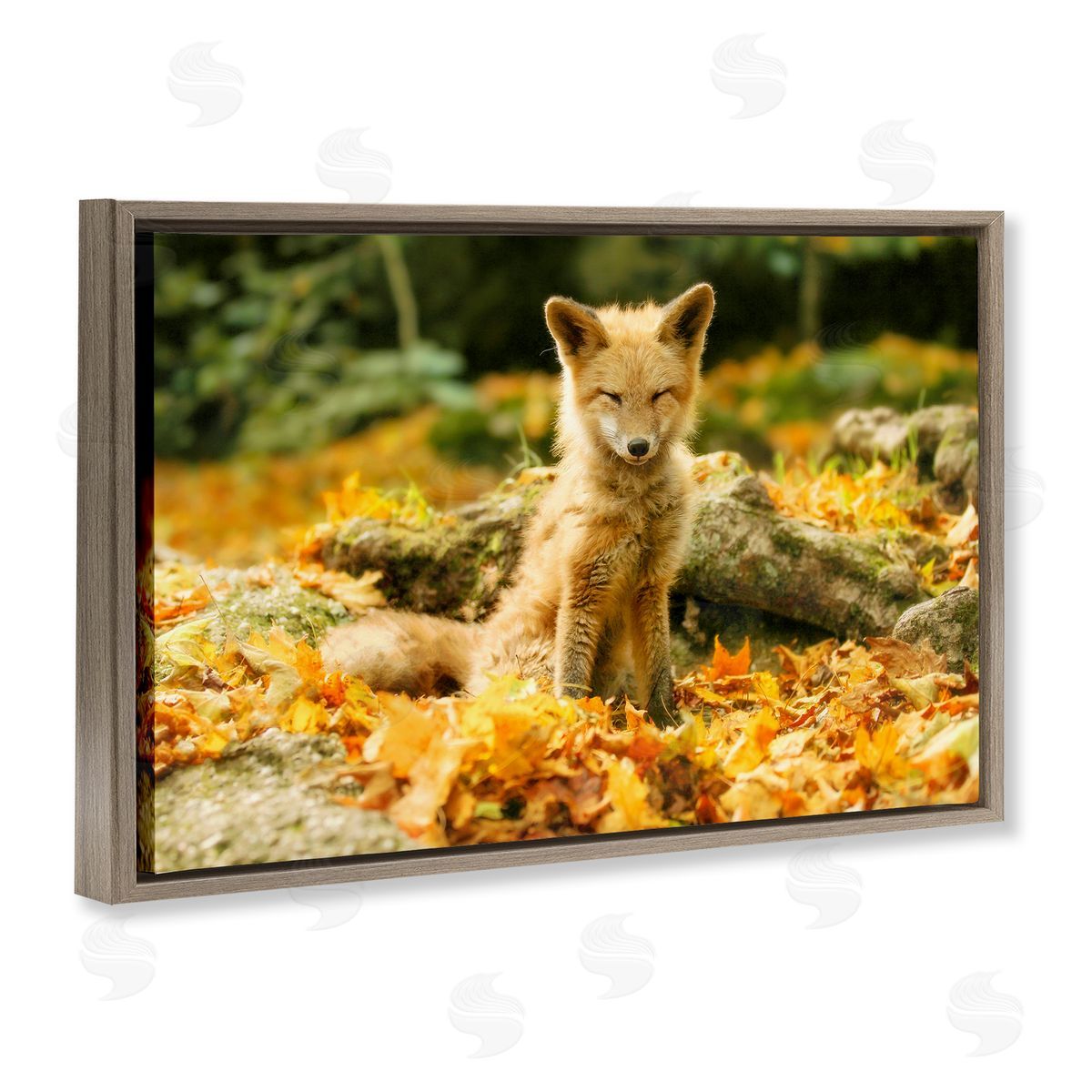 Carrie Ann Grippo-Pike Sleepy Fall Fox in Autumn Canvas Wall Art Print