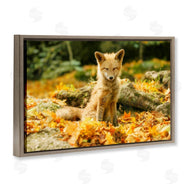 Carrie Ann Grippo-Pike | Sleepy Fall Fox in Autumn