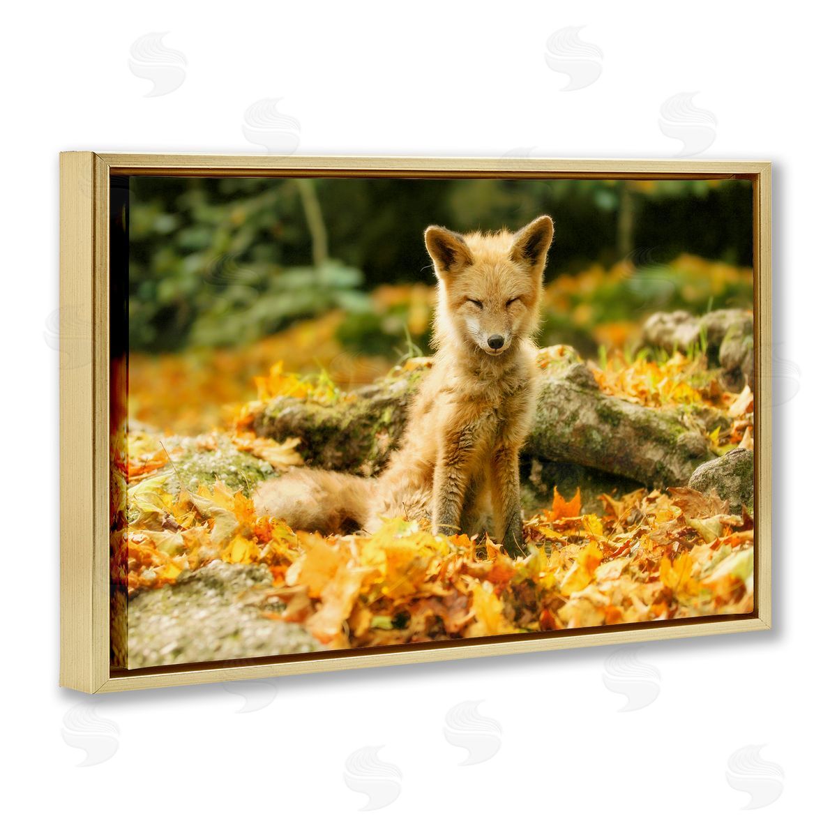 Carrie Ann Grippo-Pike Sleepy Fall Fox in Autumn Canvas Wall Art Print