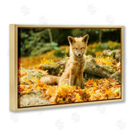 Carrie Ann Grippo-Pike | Sleepy Fall Fox in Autumn