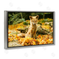 Carrie Ann Grippo-Pike | Sleepy Fall Fox in Autumn