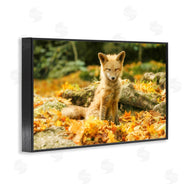 Carrie Ann Grippo-Pike | Sleepy Fall Fox in Autumn