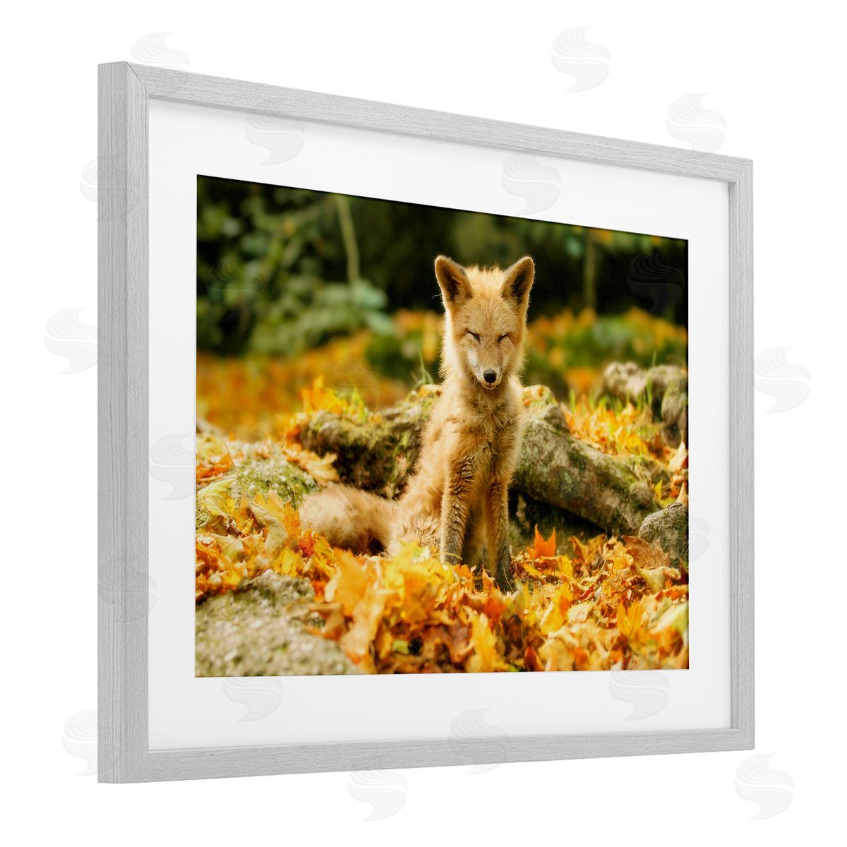 Carrie Ann Grippo-Pike Sleepy Fall Fox in Autumn Canvas Wall Art Print