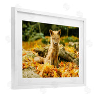 Carrie Ann Grippo-Pike | Sleepy Fall Fox in Autumn