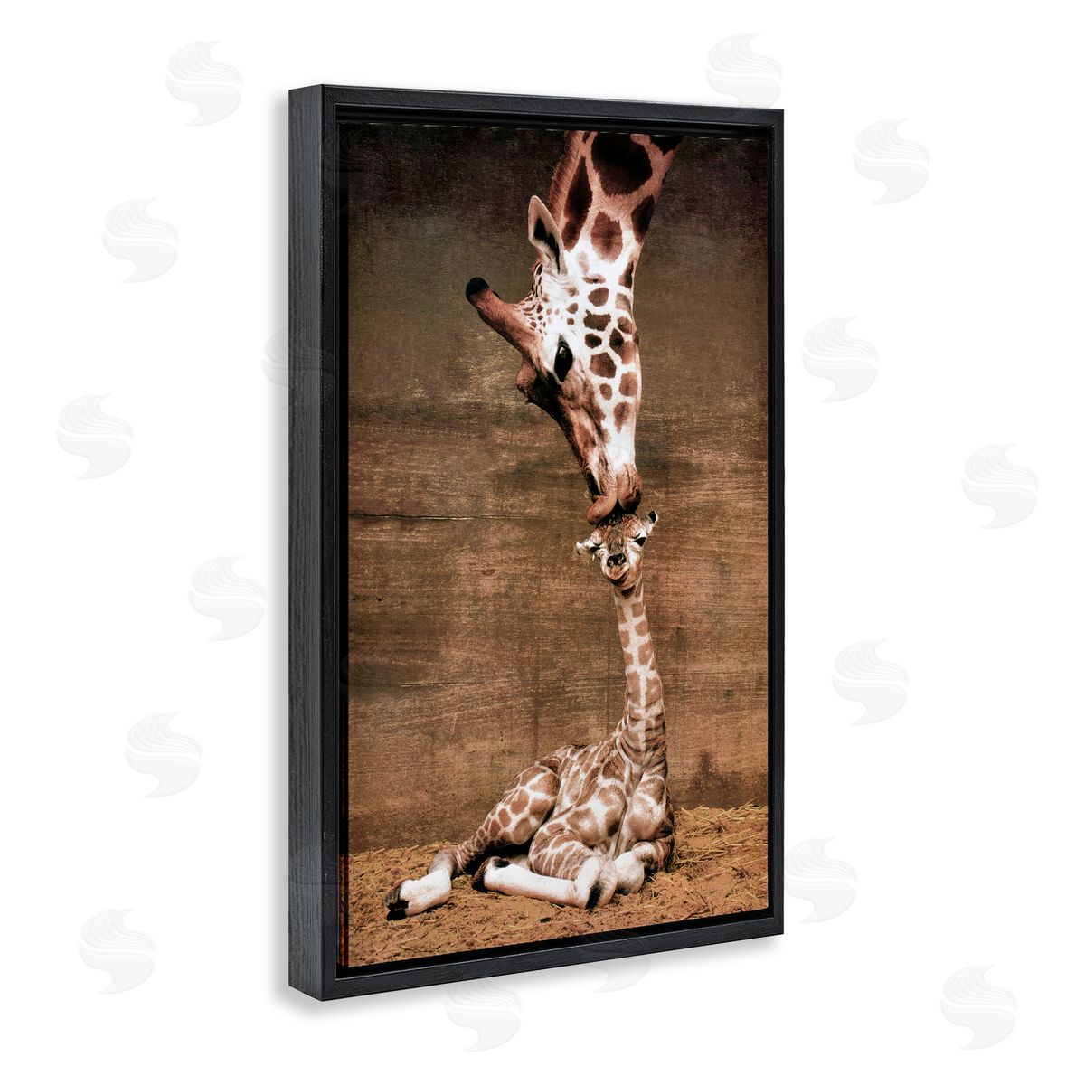 Unknown Mother's Love Giraffes Canvas Wall Art Print