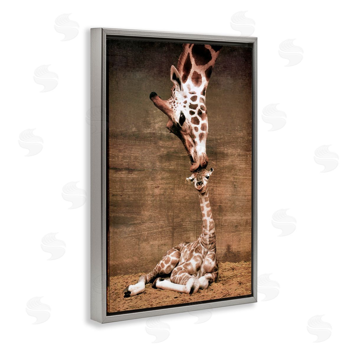 Unknown Mother's Love Giraffes Canvas Wall Art Print