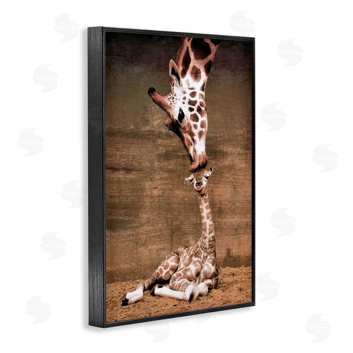 Unknown Mother's Love Giraffes Canvas Wall Art Print