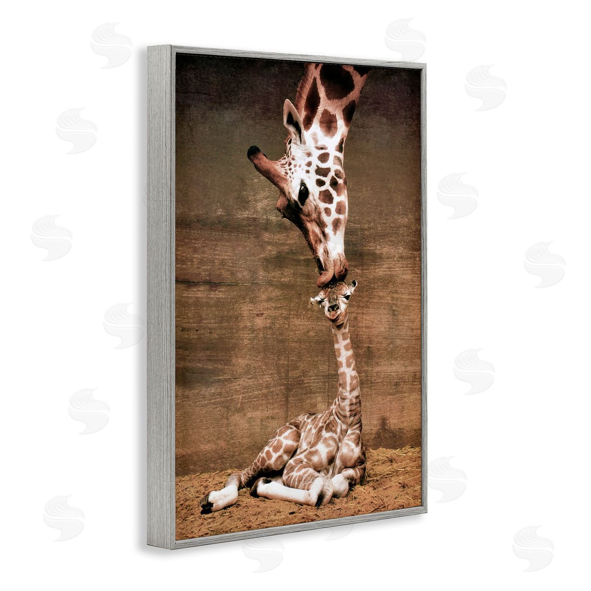Unknown Mother's Love Giraffes Canvas Wall Art Print
