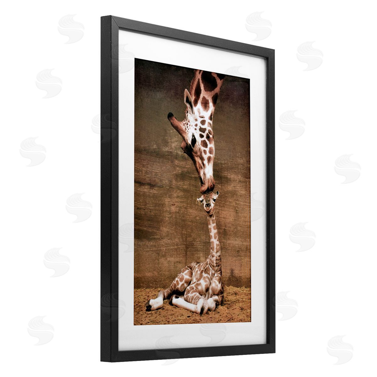 Unknown Mother's Love Giraffes Canvas Wall Art Print