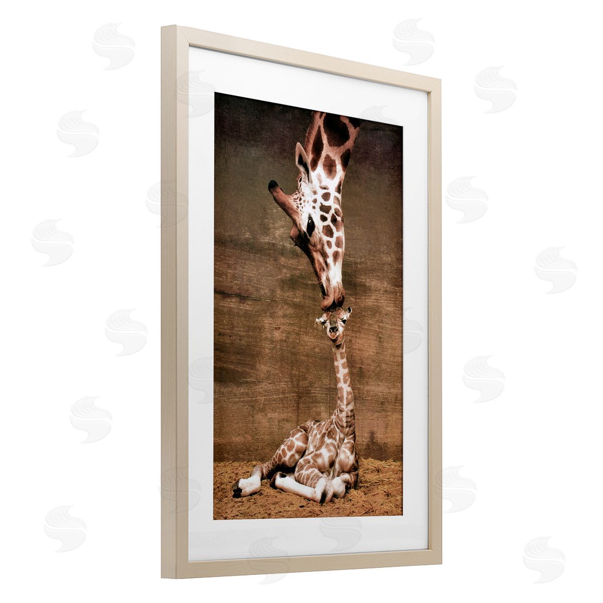 Unknown Mother's Love Giraffes Canvas Wall Art Print
