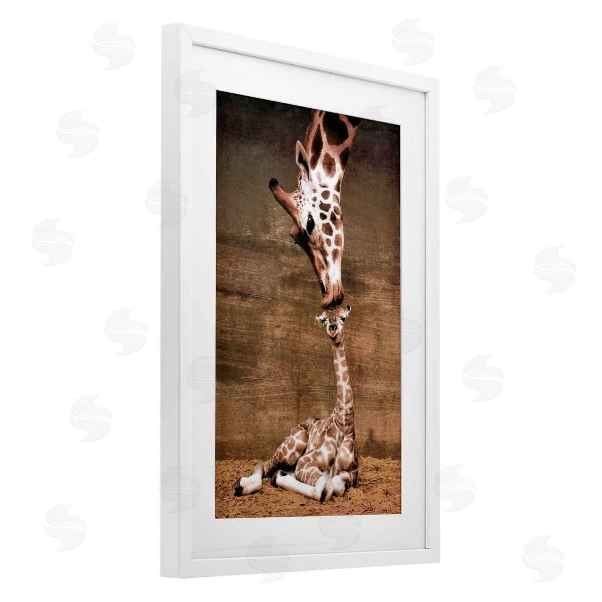 Unknown Mother's Love Giraffes Canvas Wall Art Print
