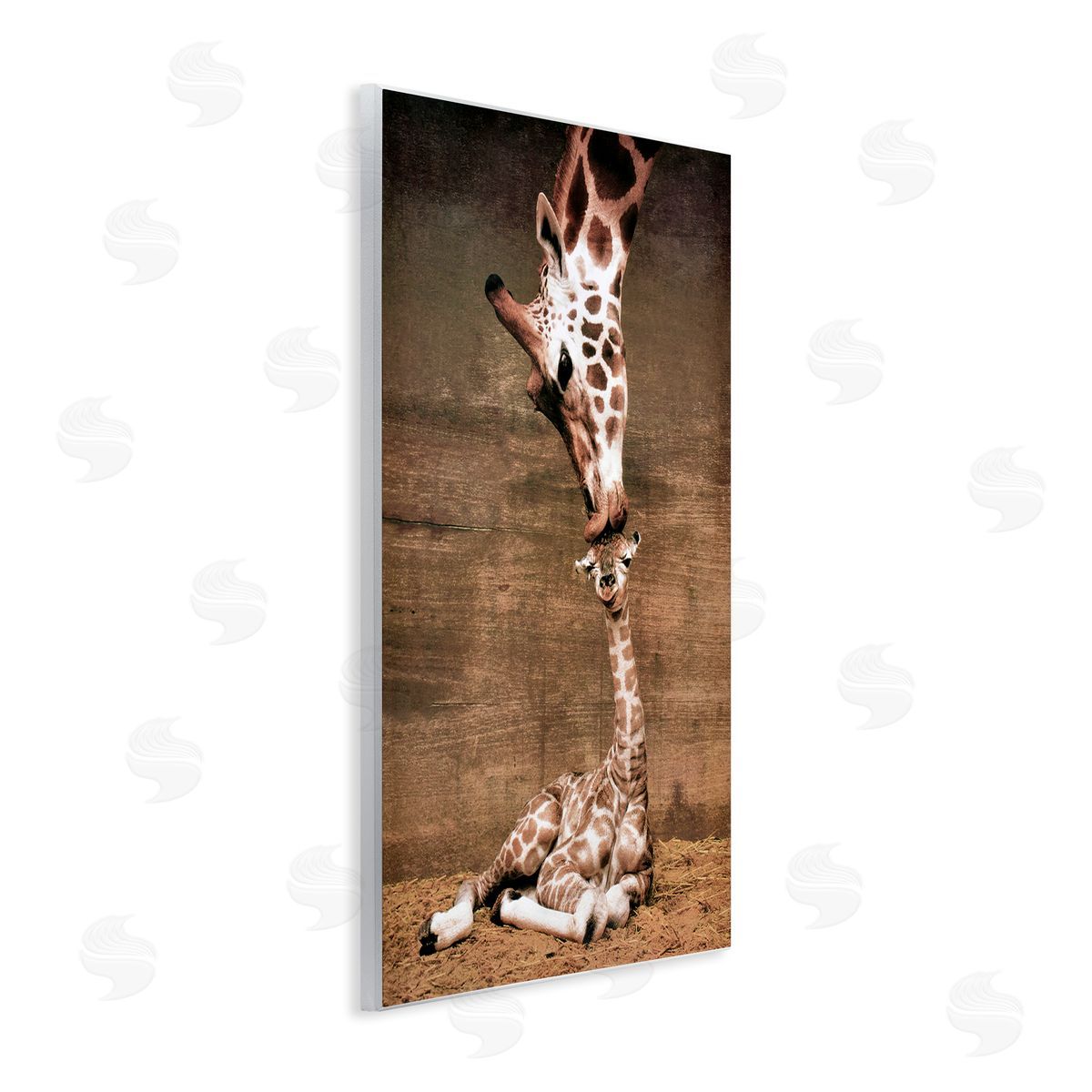 Unknown Mother's Love Giraffes Canvas Wall Art Print