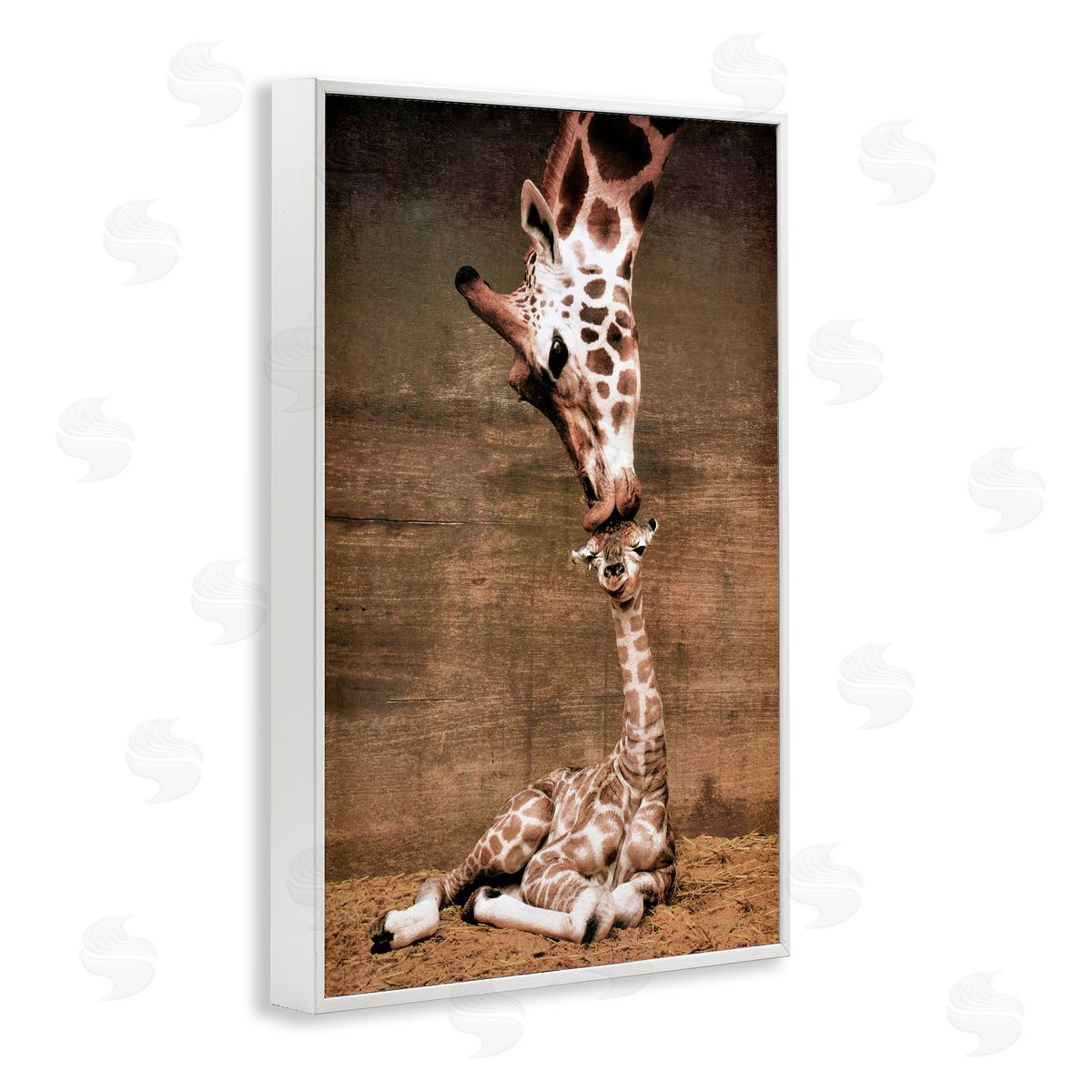 Unknown Mother's Love Giraffes Canvas Wall Art Print