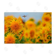 Carrie Ann Grippo-Pike | Happy Hummingbird & Sunflowers