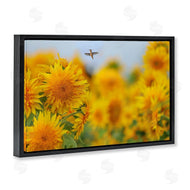 Carrie Ann Grippo-Pike | Happy Hummingbird & Sunflowers