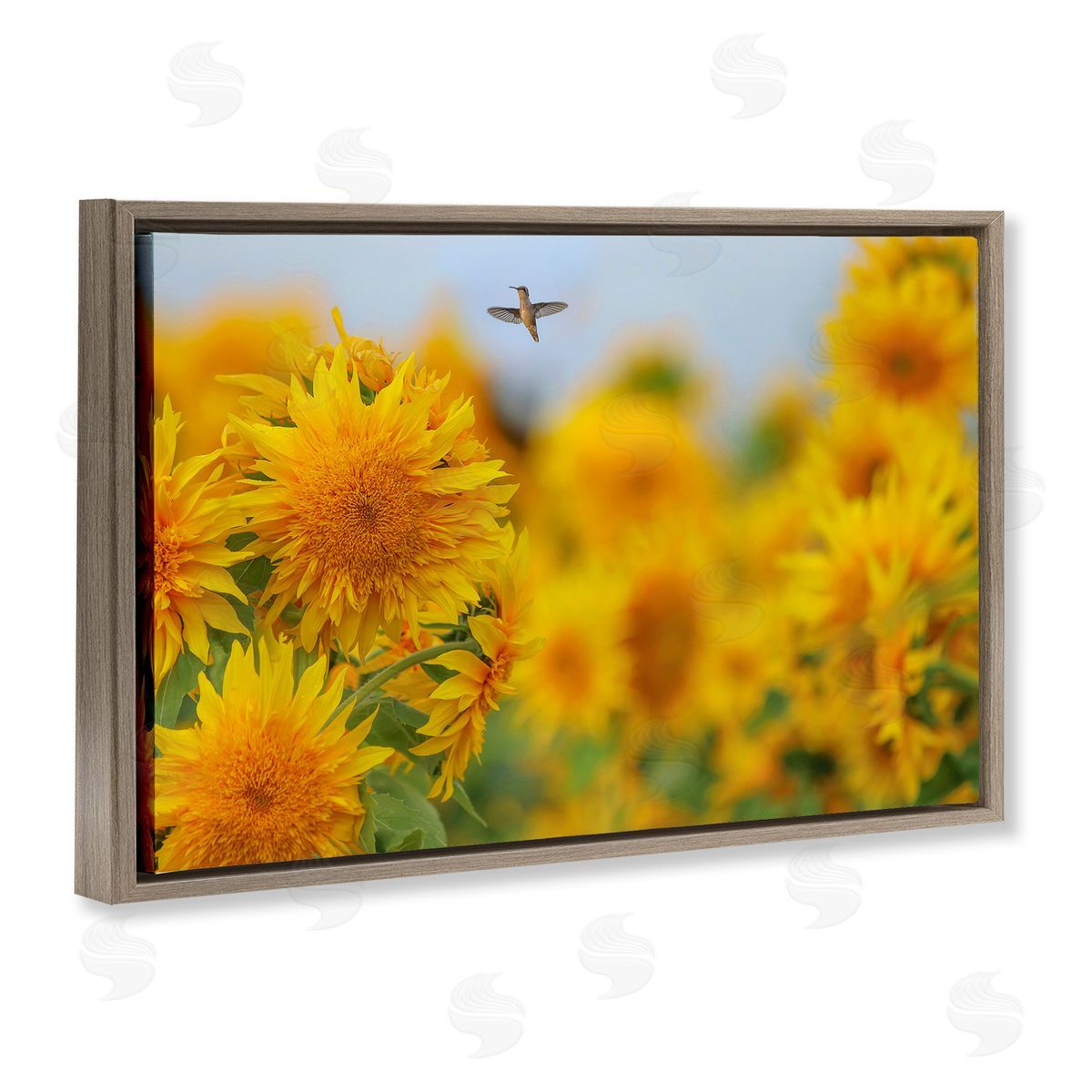 Carrie Ann Grippo-Pike Happy Hummingbird & Sunflowers Canvas Wall Art Print
