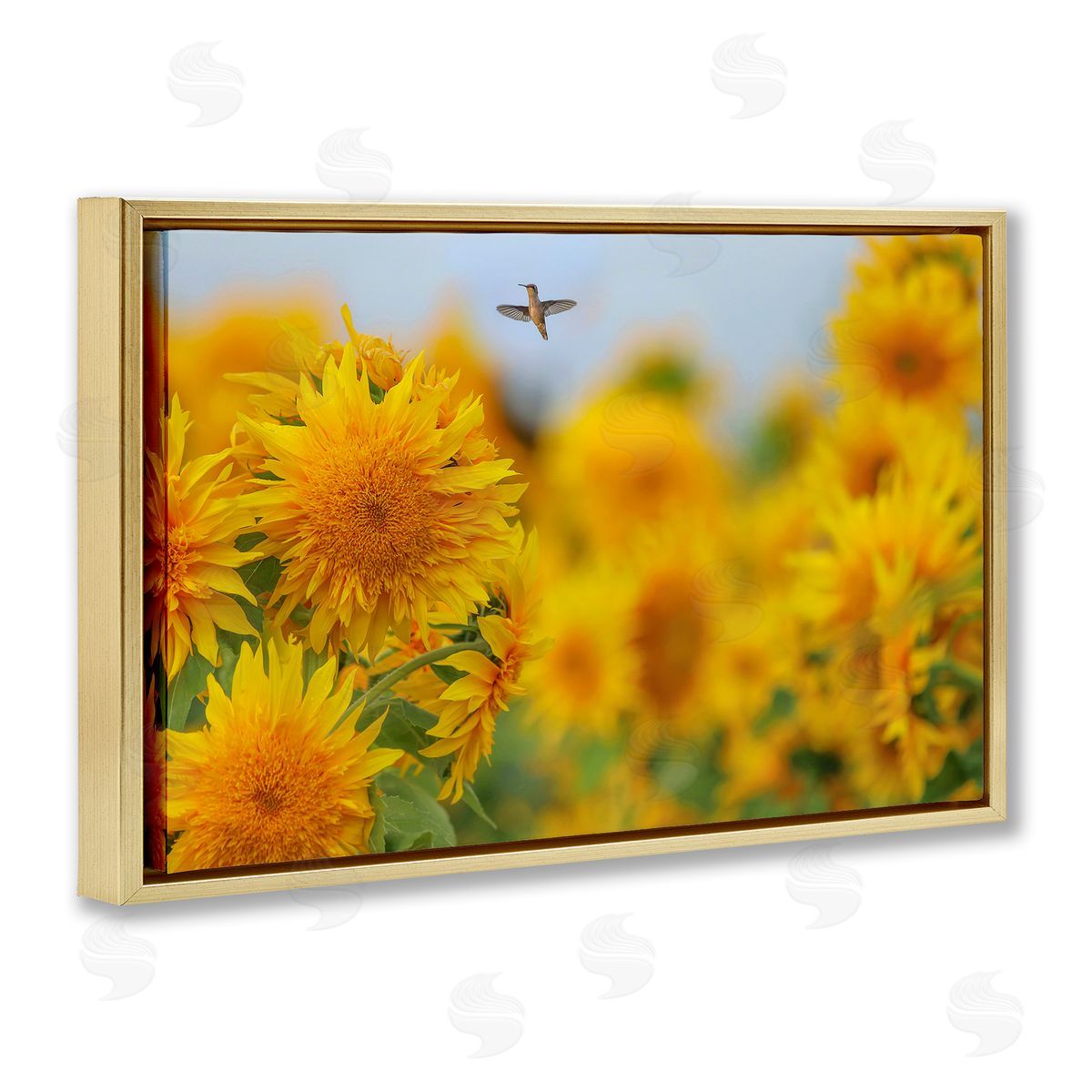 Carrie Ann Grippo-Pike Happy Hummingbird & Sunflowers Canvas Wall Art Print