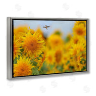 Carrie Ann Grippo-Pike | Happy Hummingbird & Sunflowers