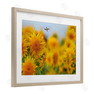 Carrie Ann Grippo-Pike | Happy Hummingbird & Sunflowers