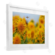 Carrie Ann Grippo-Pike | Happy Hummingbird & Sunflowers