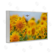 Carrie Ann Grippo-Pike | Happy Hummingbird & Sunflowers