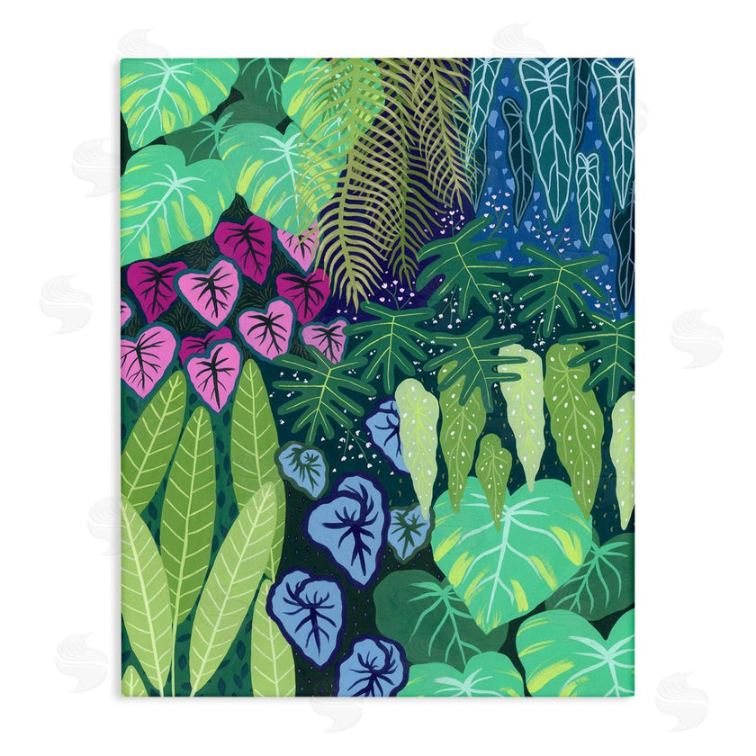 Courtney Haley | Cloud Forest Tropical Jungle