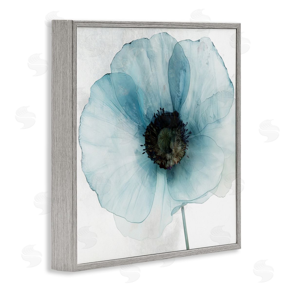 Annabelle Hall Blue Promise Peony Floral Canvas Wall Art Print