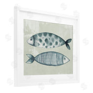 Eli Jones | Dotted & Striped Fish