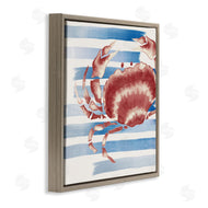 Eli Jones | Striped Claw Crab