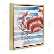 Eli Jones | Striped Claw Crab