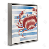 Eli Jones | Striped Claw Crab