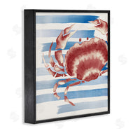 Eli Jones | Striped Claw Crab