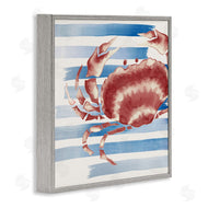 Eli Jones | Striped Claw Crab