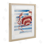 Eli Jones | Striped Claw Crab