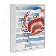 Eli Jones | Striped Claw Crab