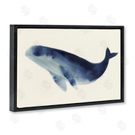 Lily K. | Gentle Giant Whale
