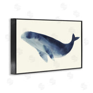 Lily K. | Gentle Giant Whale