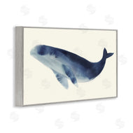 Lily K. | Gentle Giant Whale