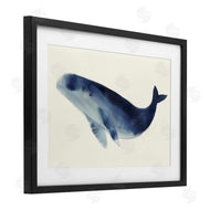 Lily K. | Gentle Giant Whale