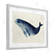 Lily K. | Gentle Giant Whale