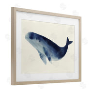 Lily K. | Gentle Giant Whale