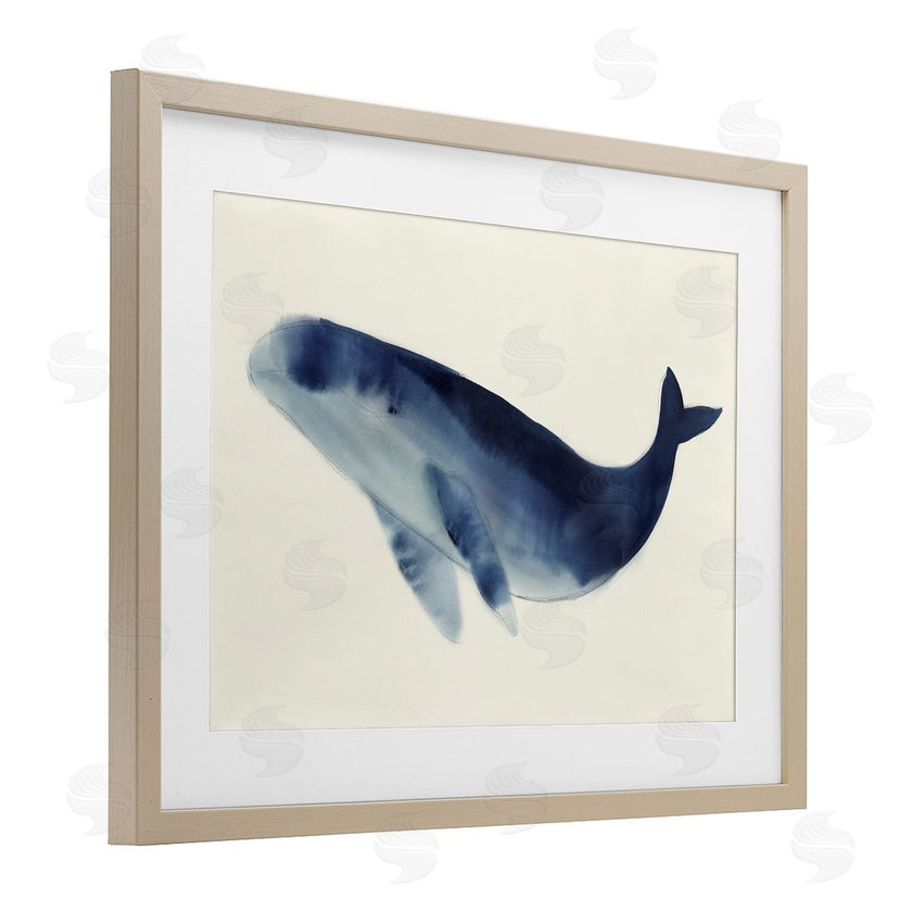 Lily K. | Gentle Giant Whale