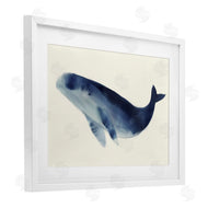 Lily K. | Gentle Giant Whale